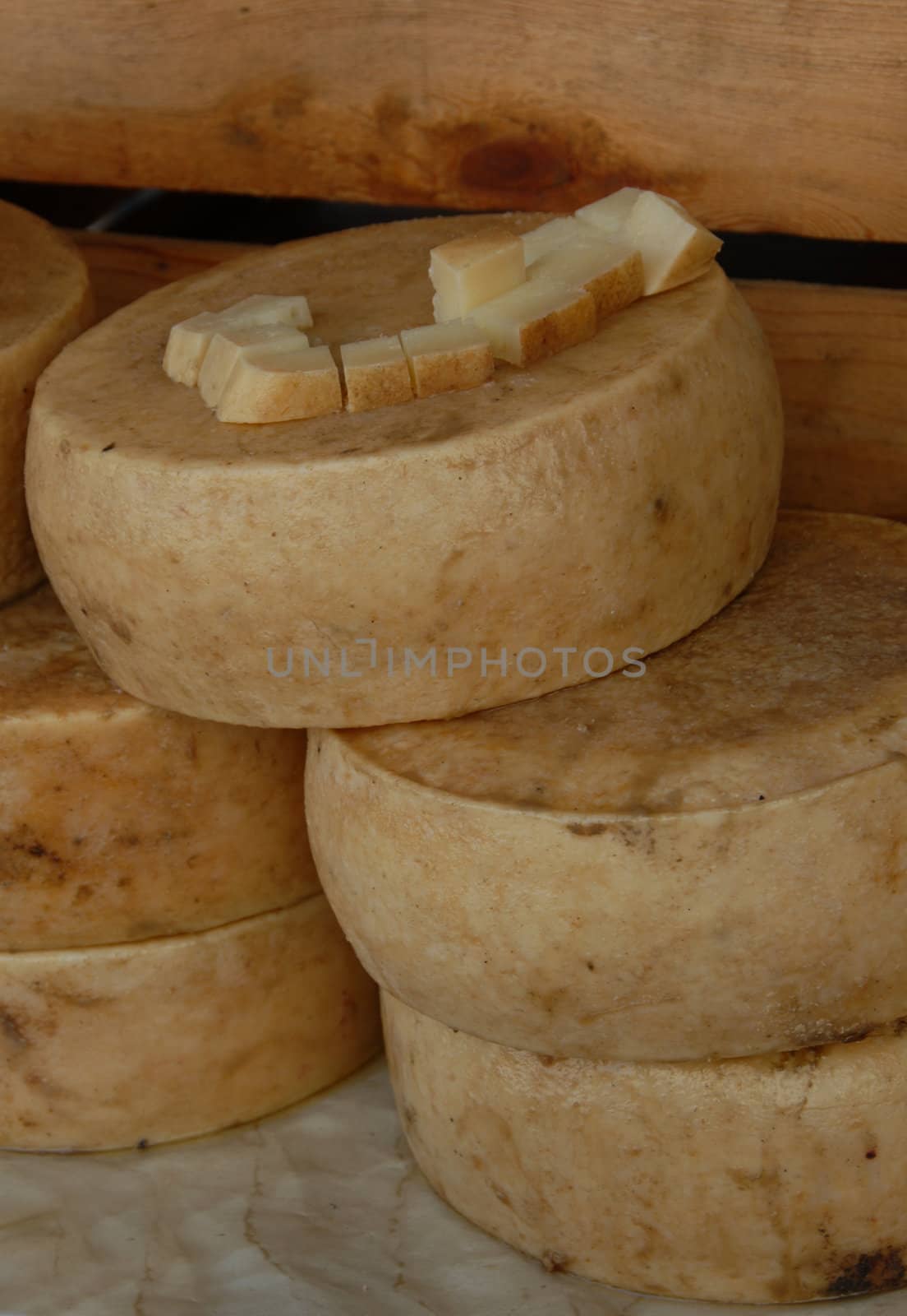 craft ewe's cheeses in a market in corsica