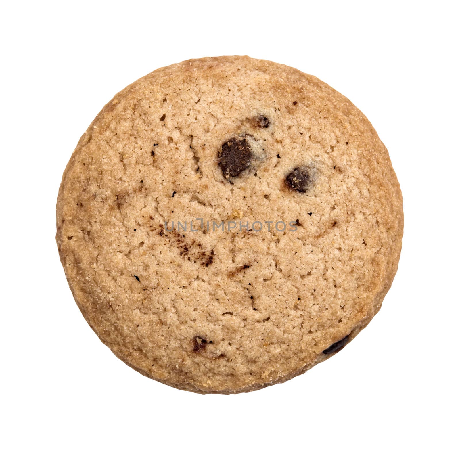 A single chocolate chip cookie isolated on a white background