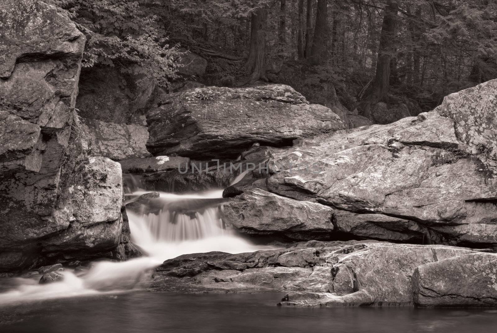 A small waterfall over rock with a forest in the background. Photo is in black and white.