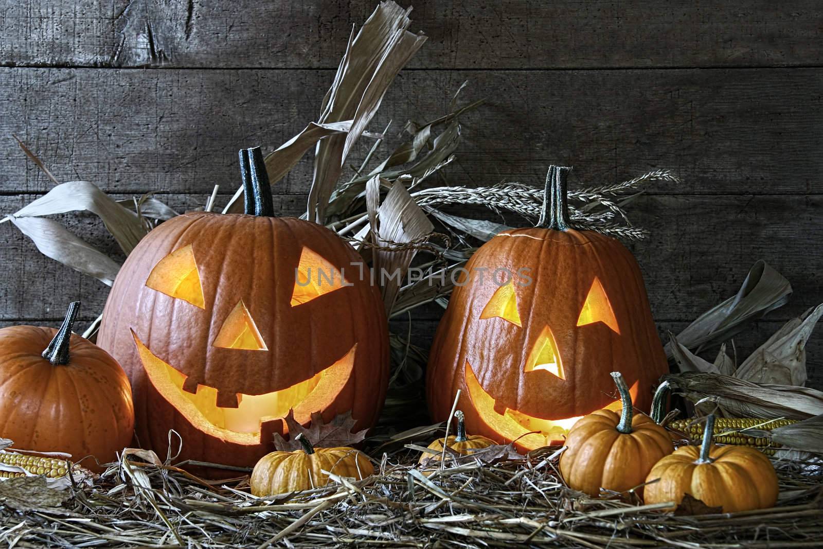 Halloween pumpkins in the barn for Halloween