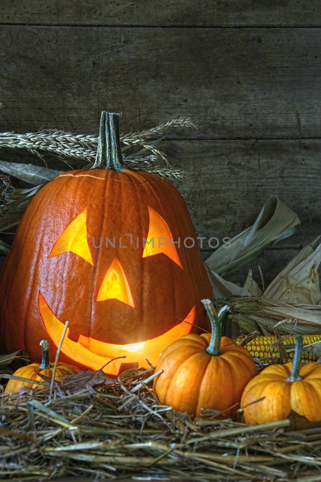 Carved jack-o-lantern lit for Halloween by Sandralise
