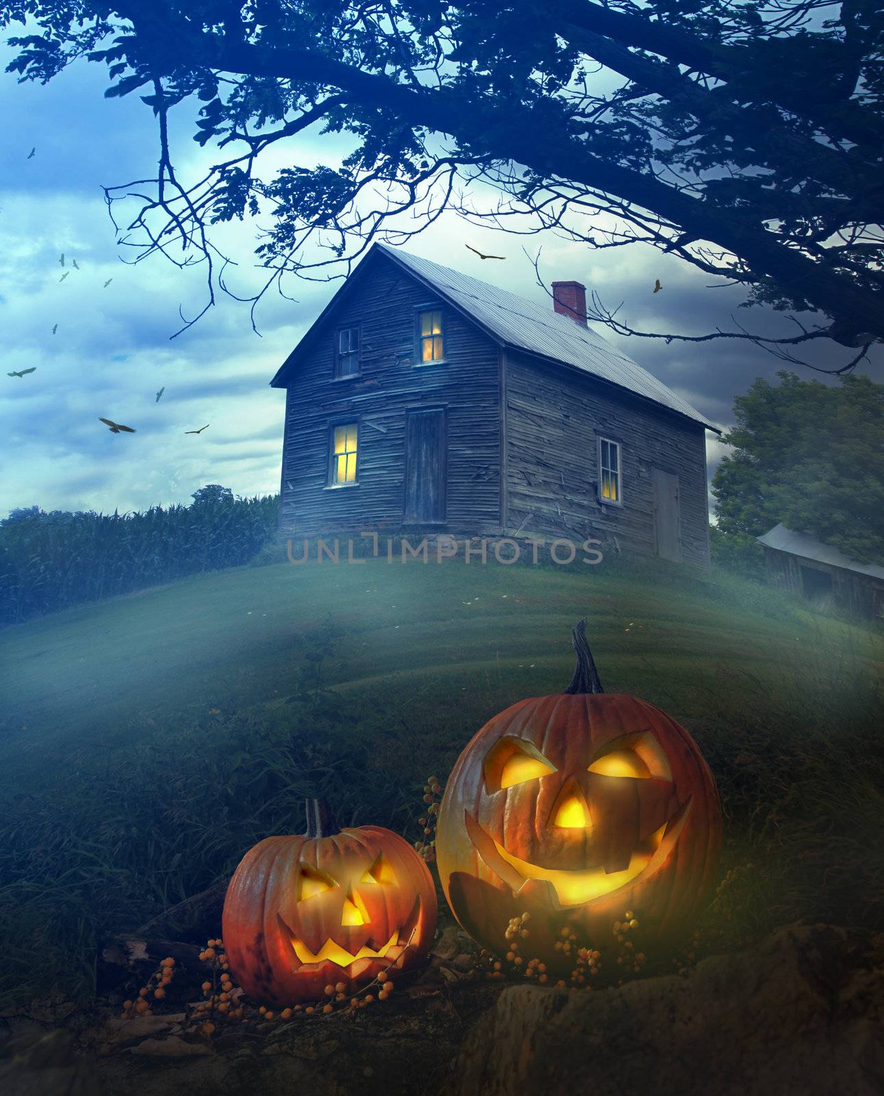 Halloween pumpkins in front of Spooky house by Sandralise