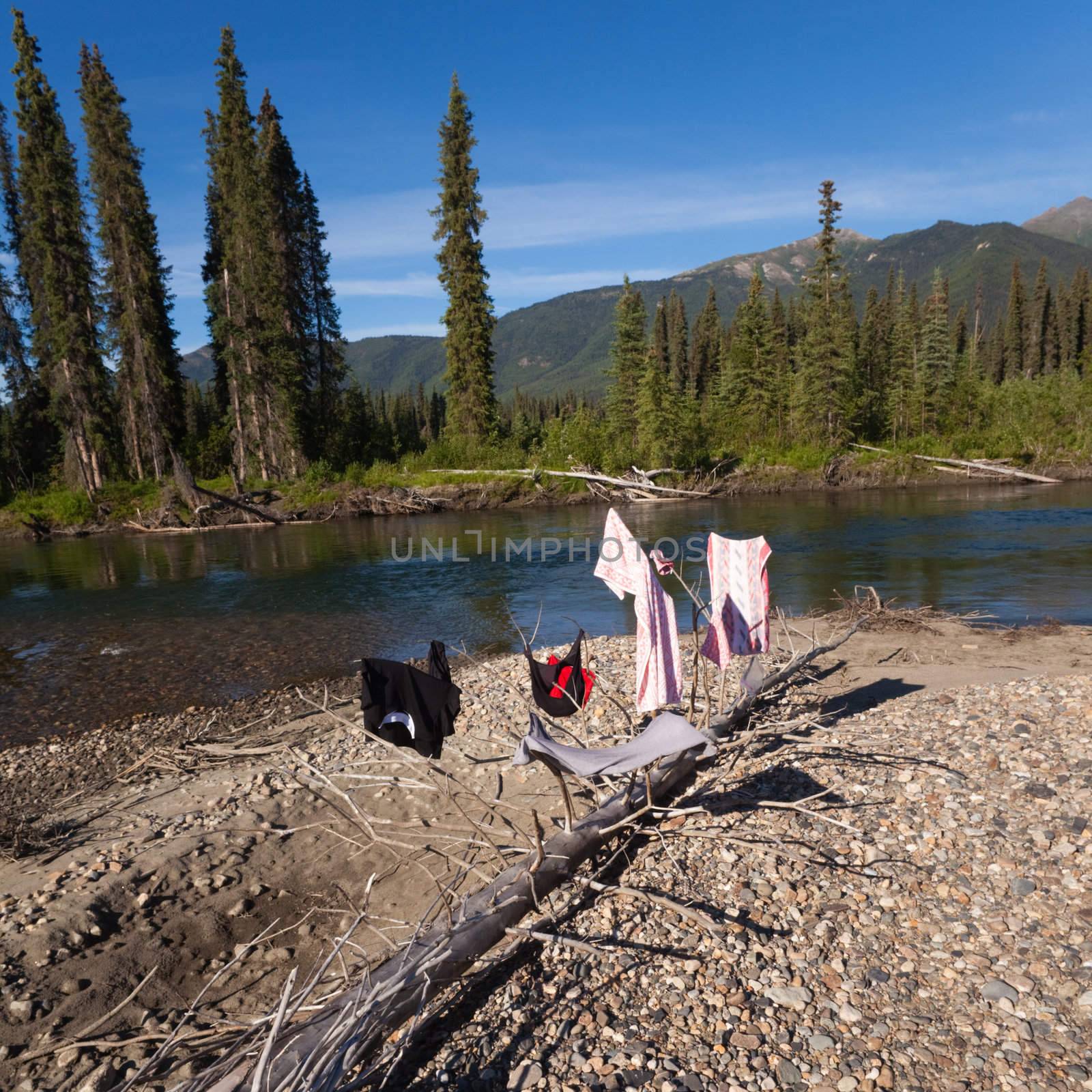 Drying clothes on river bank in pristine wilderness landscape, Big Salmon River, Yukon Territory, Canada