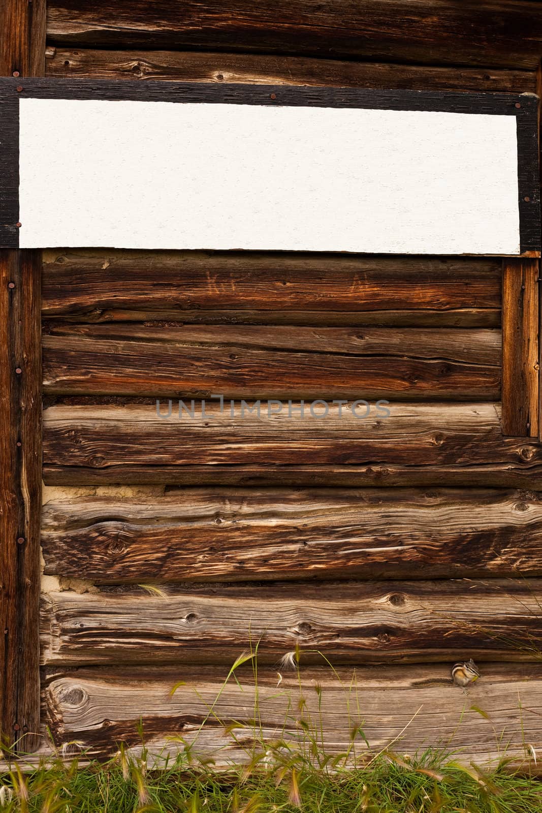 Empty sign with copyspace for your message on old weathered log wall with cute little chipmunk bottom right.