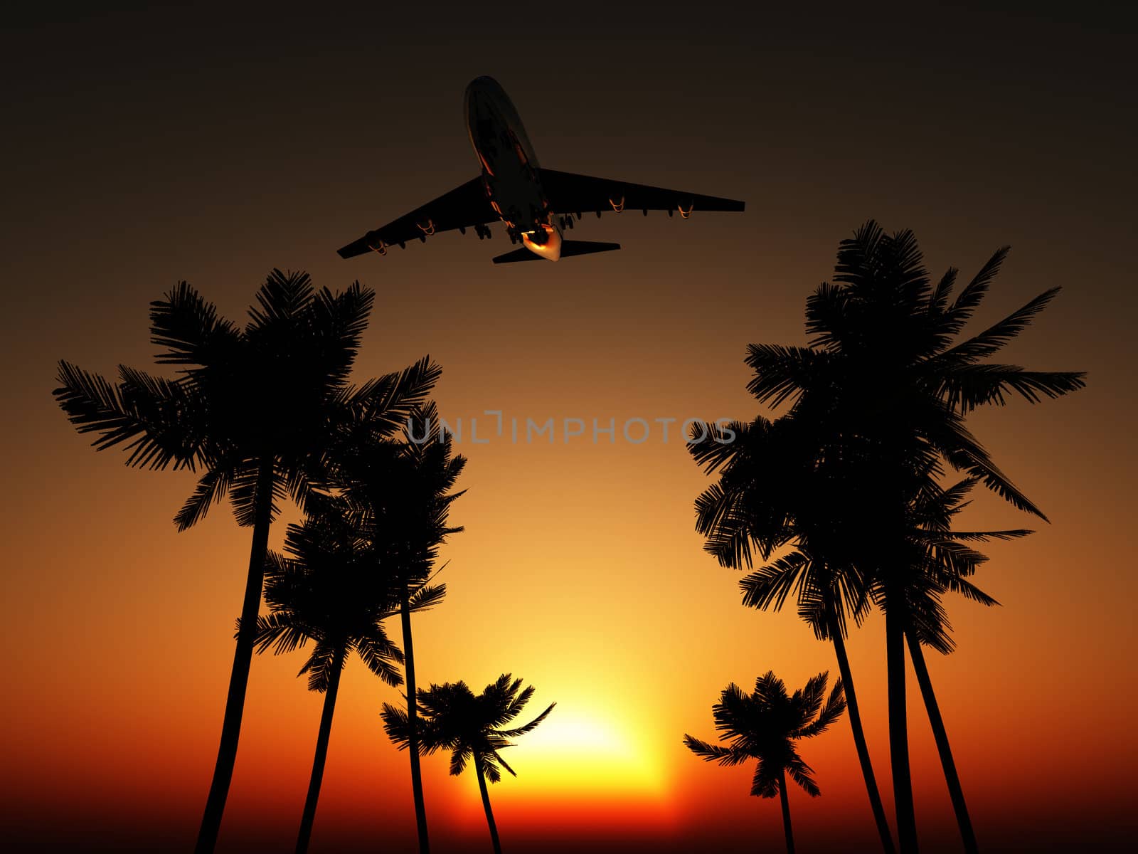 Plane flying over some palm trees with a sunset sky.
