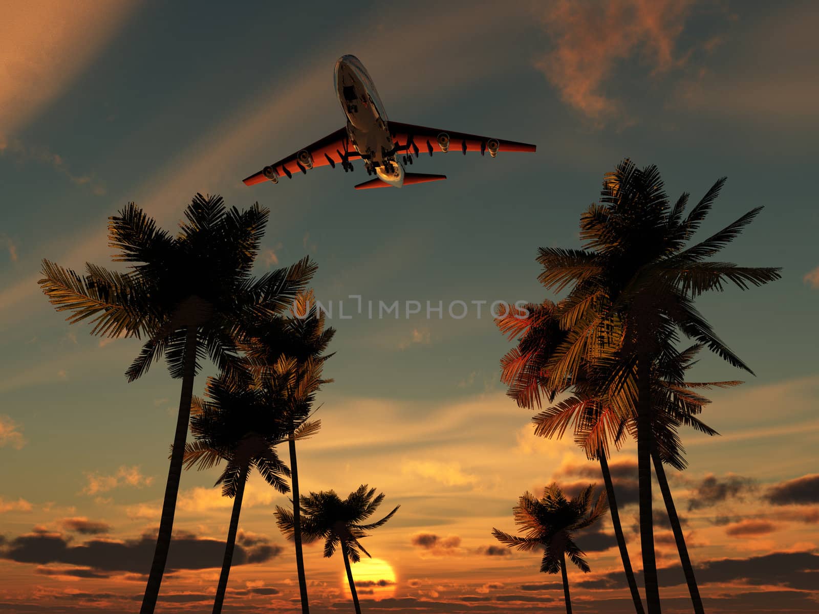 Plane flying over some palm trees with a sunset sky.
