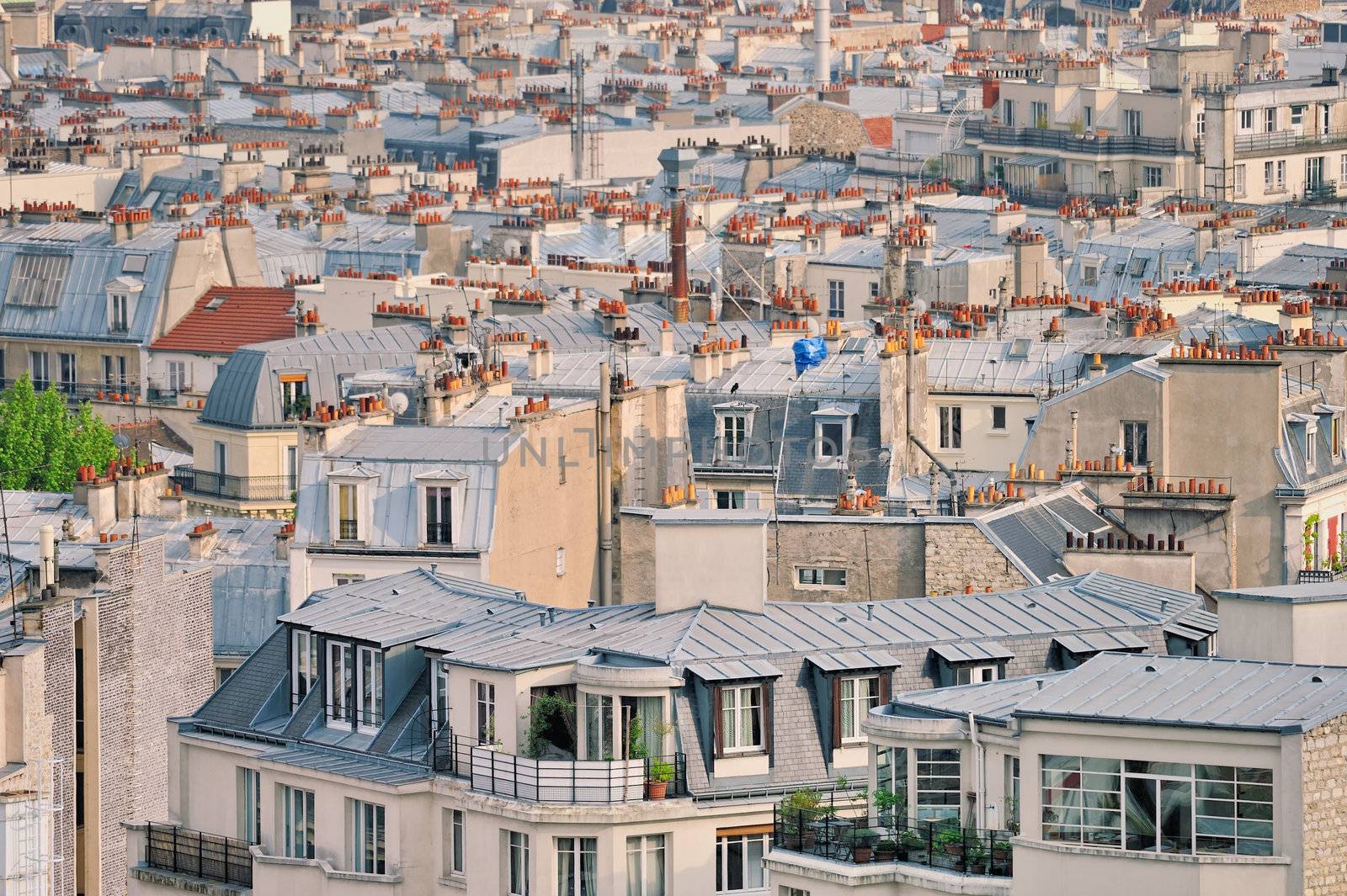 Roofs in residential quarter of Montmartre in Paris