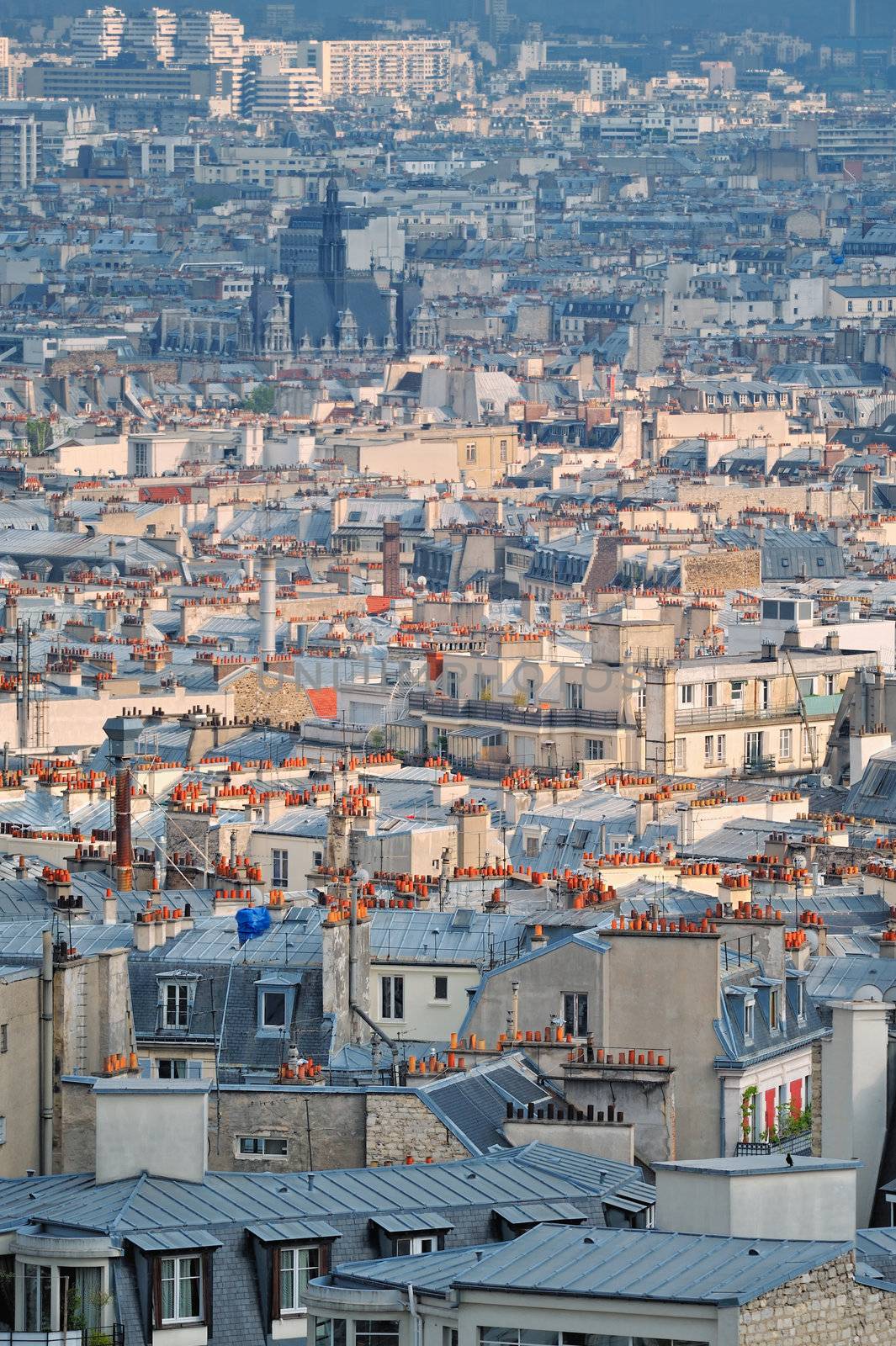 Aerial panorama of Parisian roofs. Top view