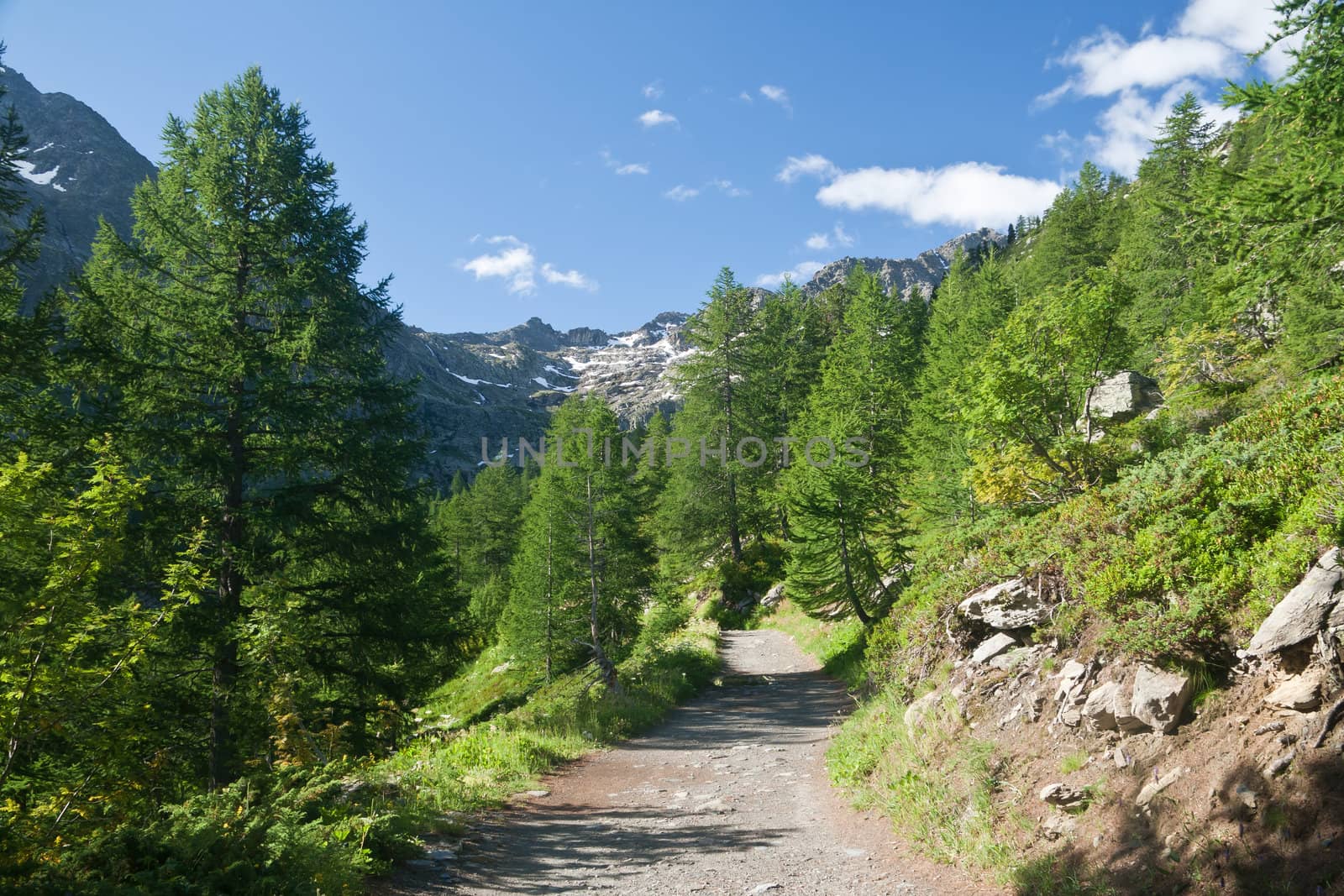 beautiful path in Italian Alps in Arpy valley