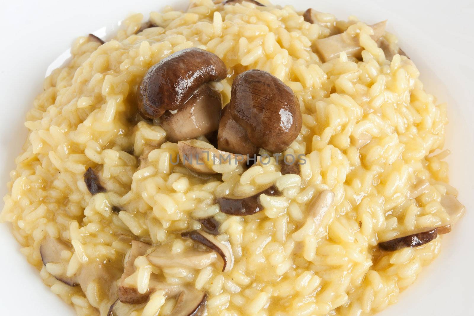 detail plate of risotto with mushrooms dish