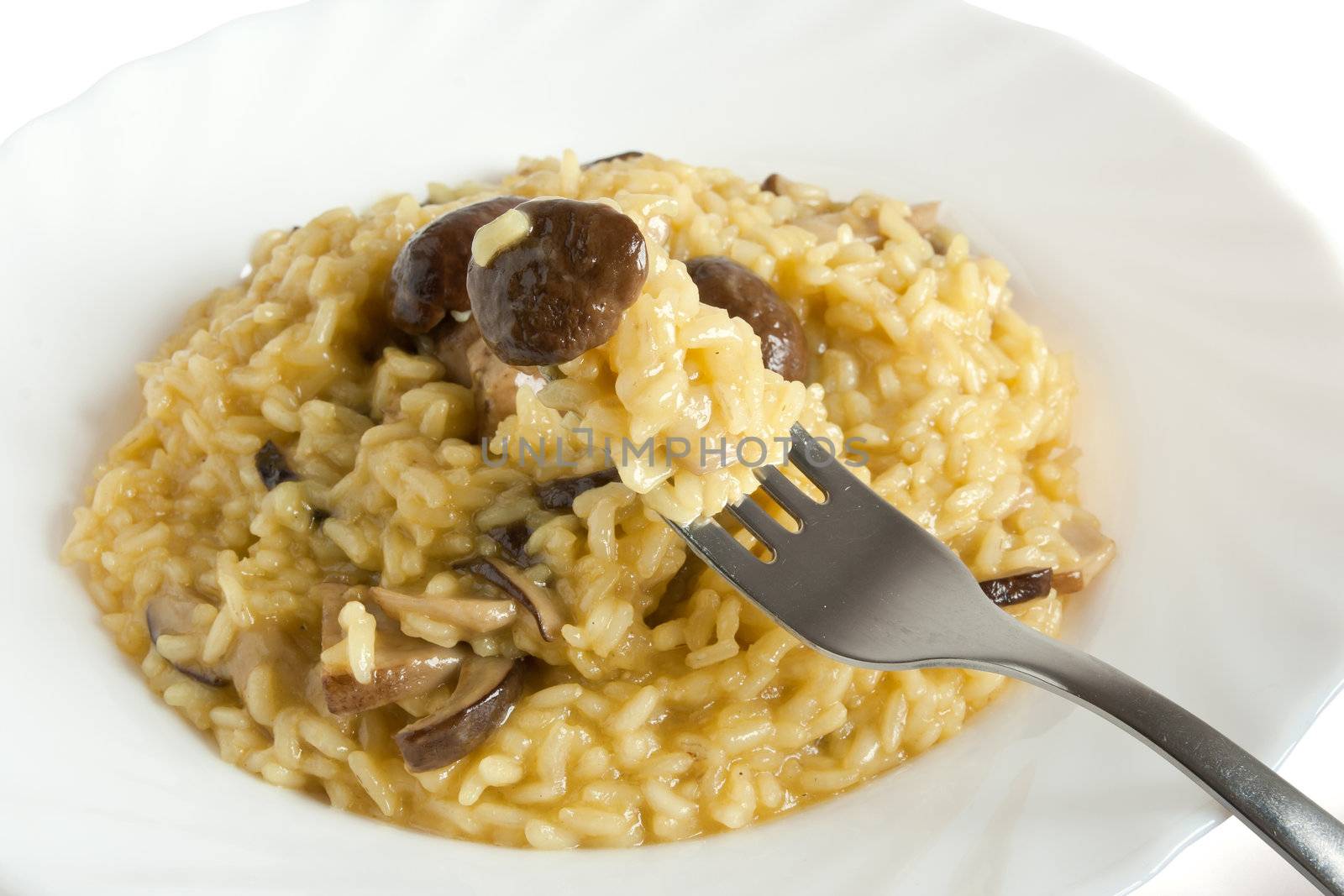 plate withf risotto with mushrooms isolated on white background with clipping path