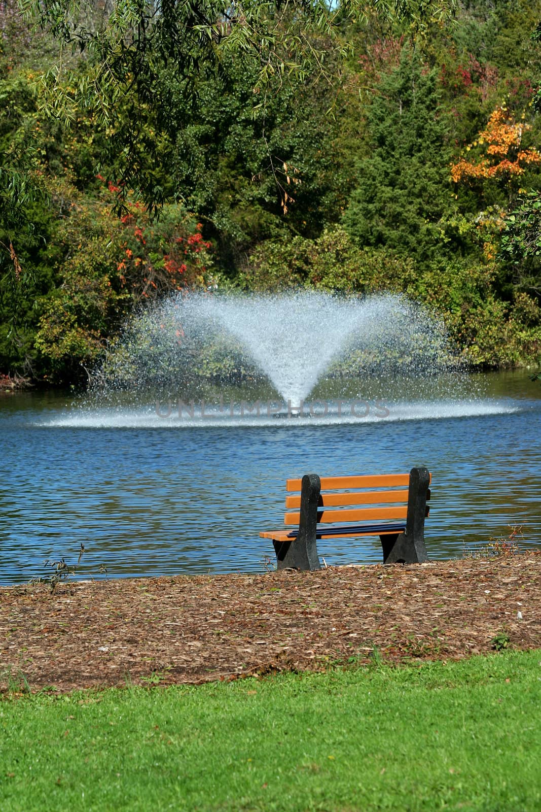 Park bench overlooking a fountain