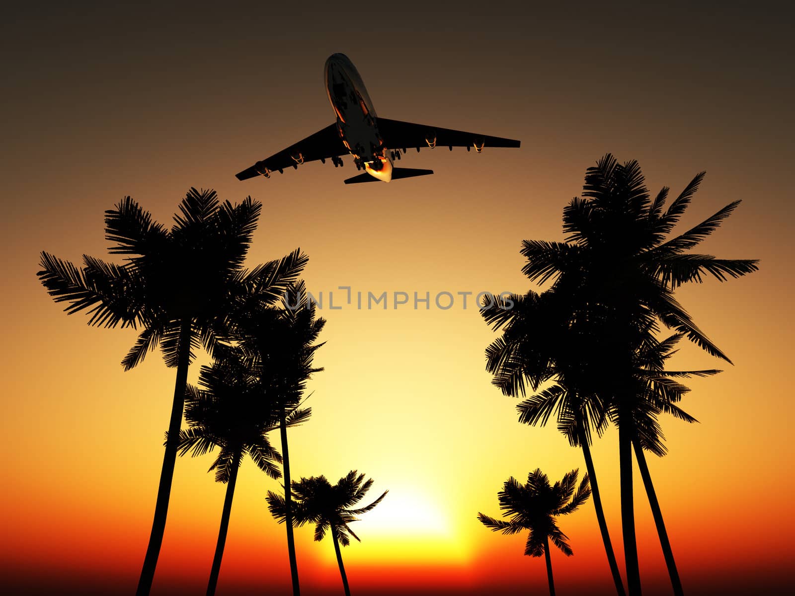 Plane flying over some palm trees with a sunset sky.
