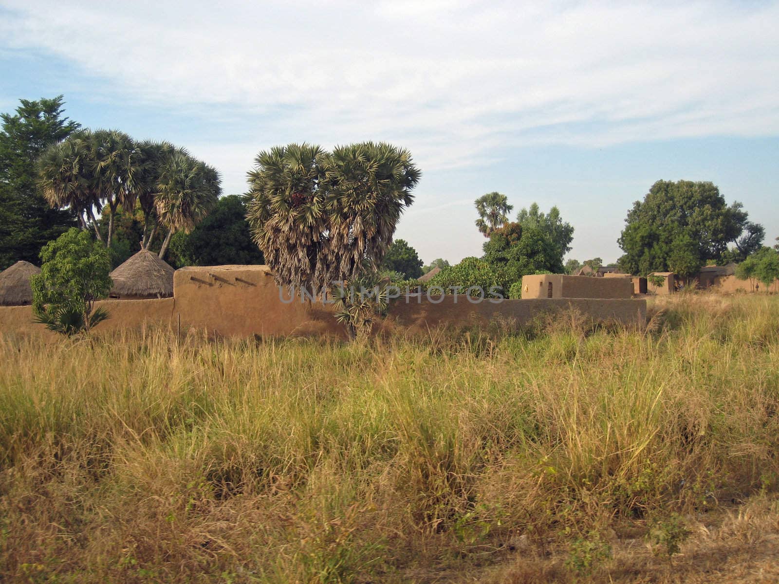 traditional village in north Cameroon