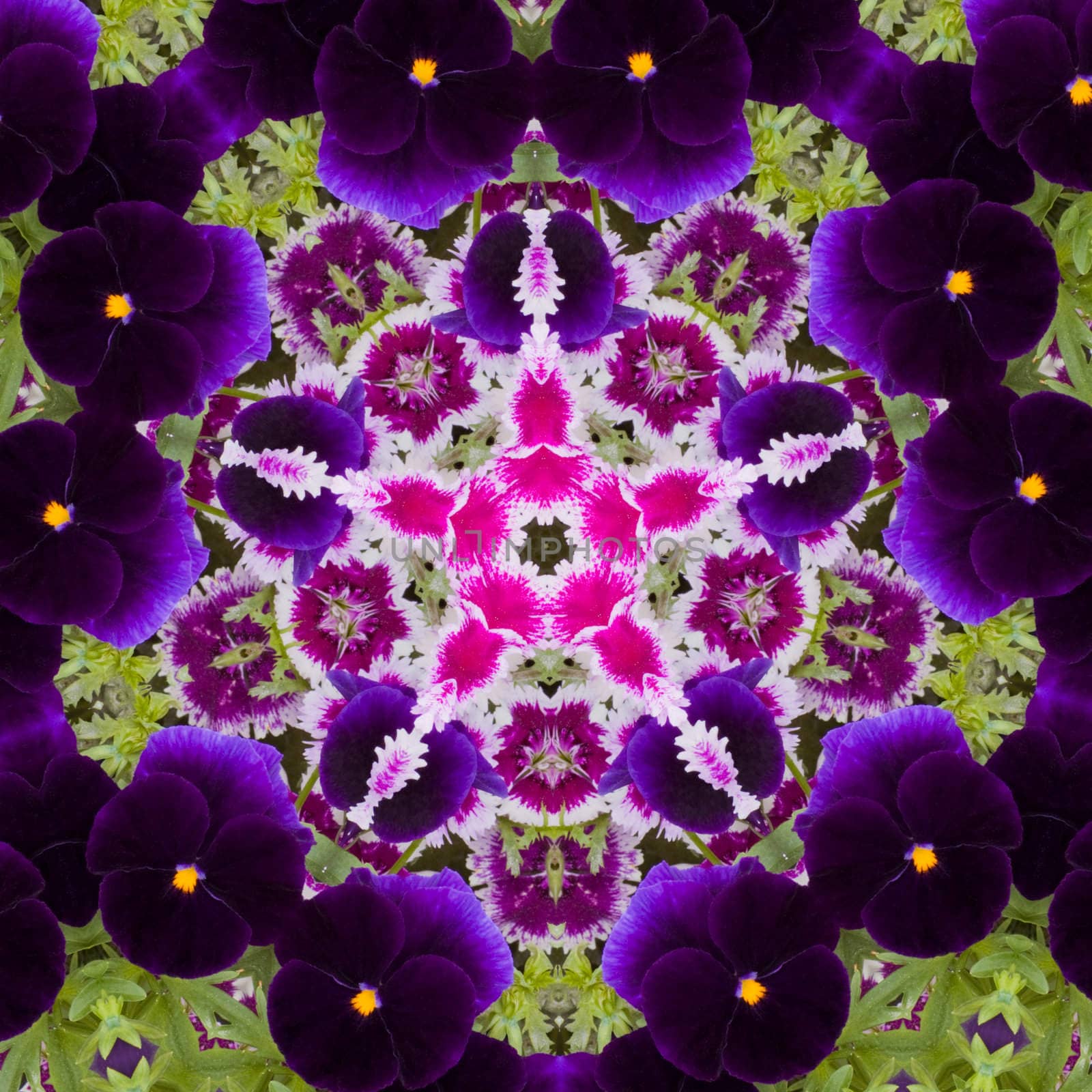 Flower kaleidoscope resembling a mandala by PiLens