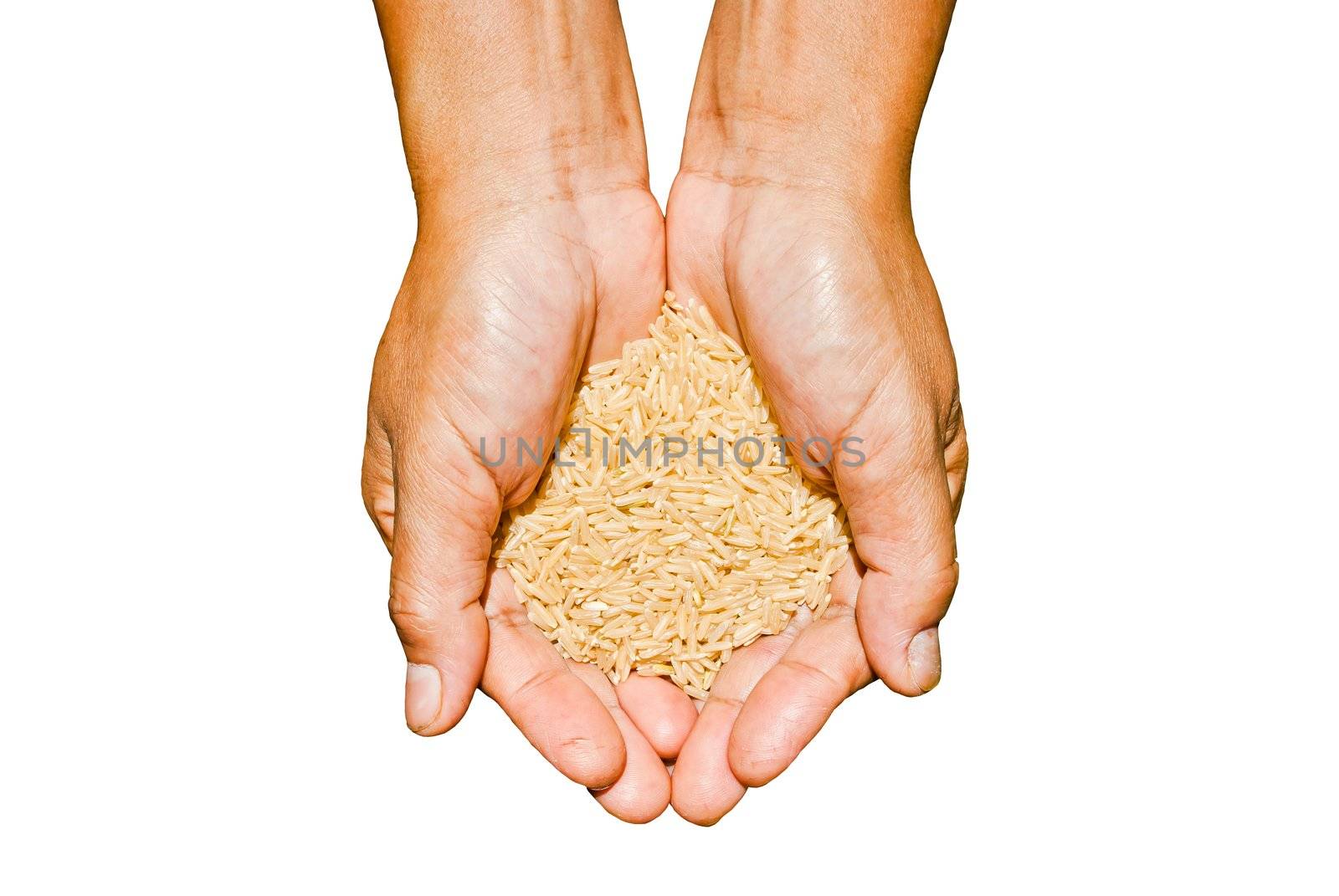 Farmer's palm with brown rice inside
