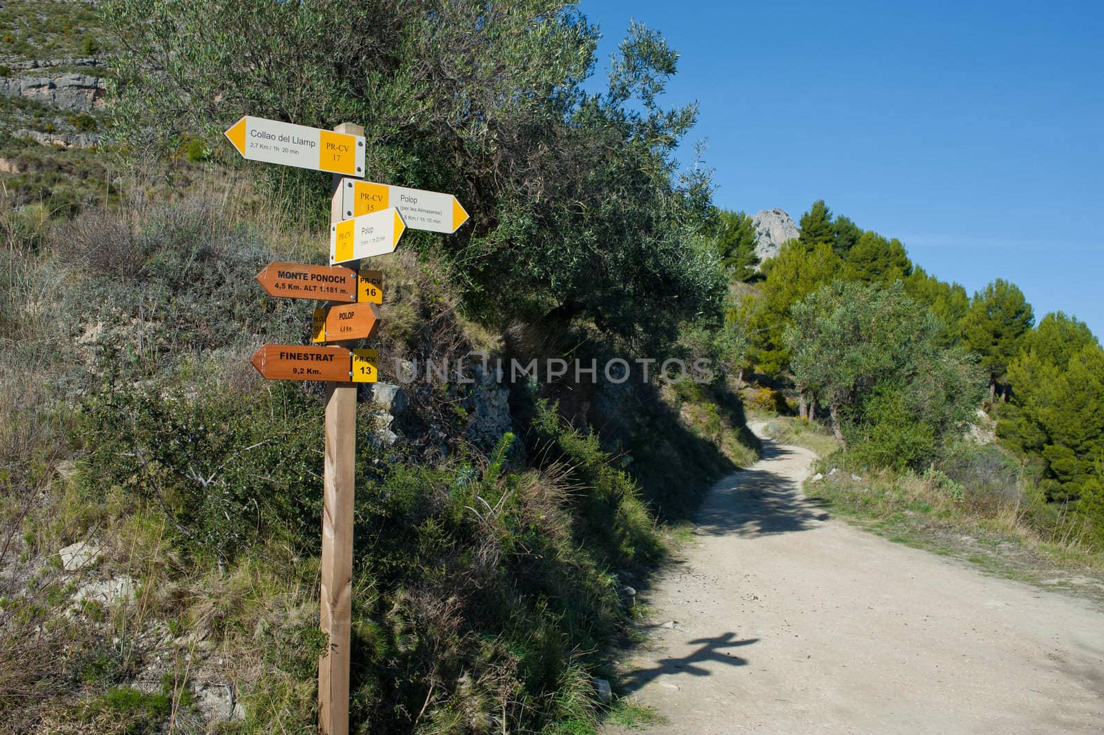 Wooden hiking trail signpost with multiple directions