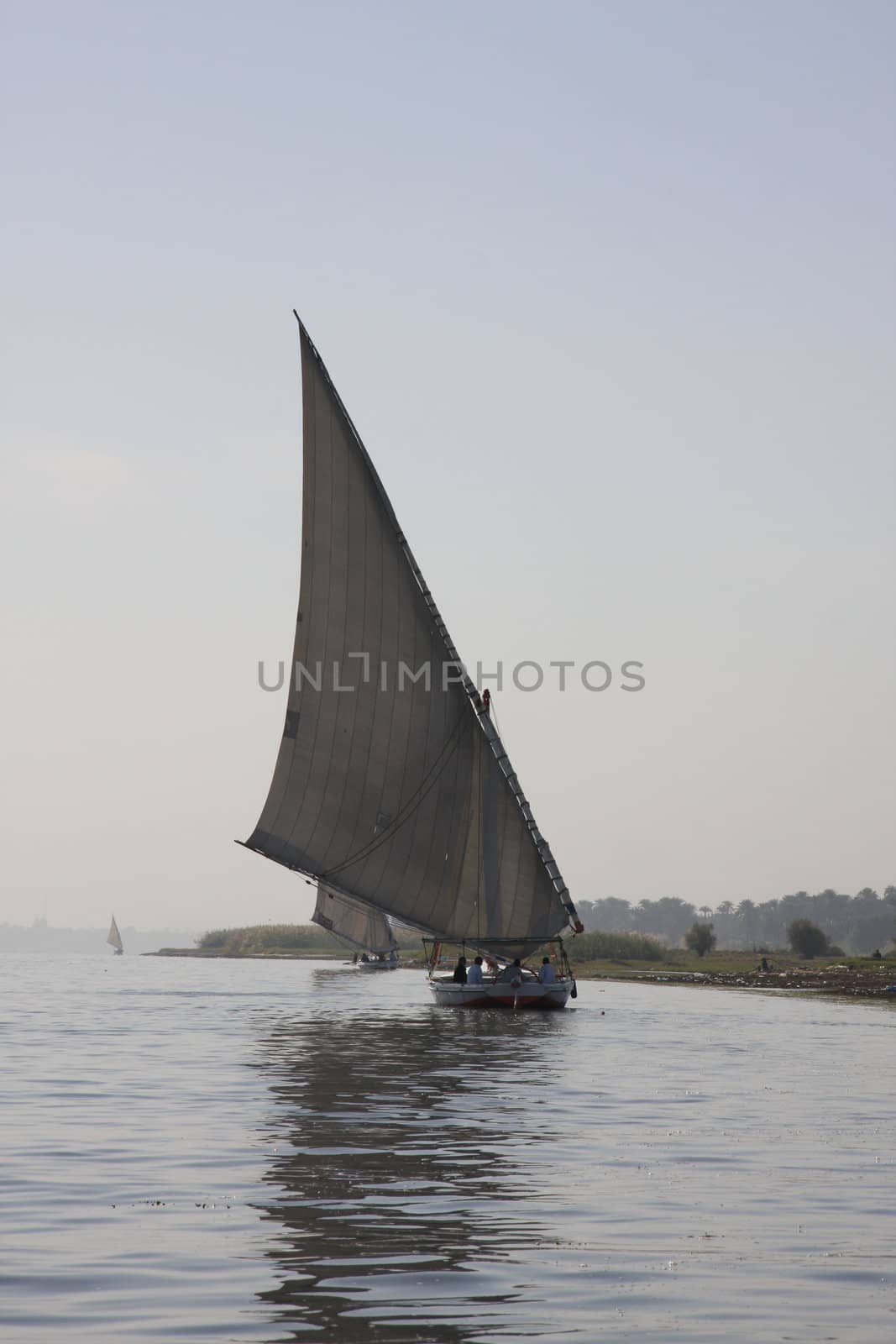 Felucca sailing boat on the river Nile in  luxor, Egypt