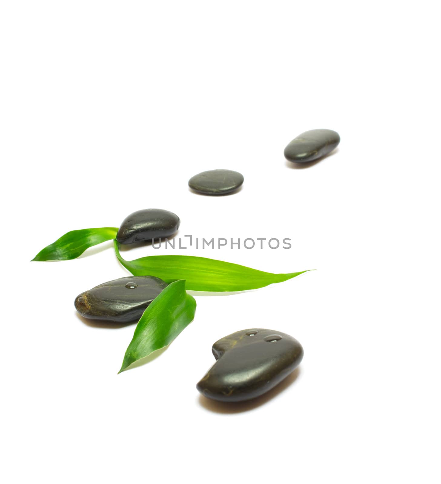 Black stones and bamboo leafs isolated on white