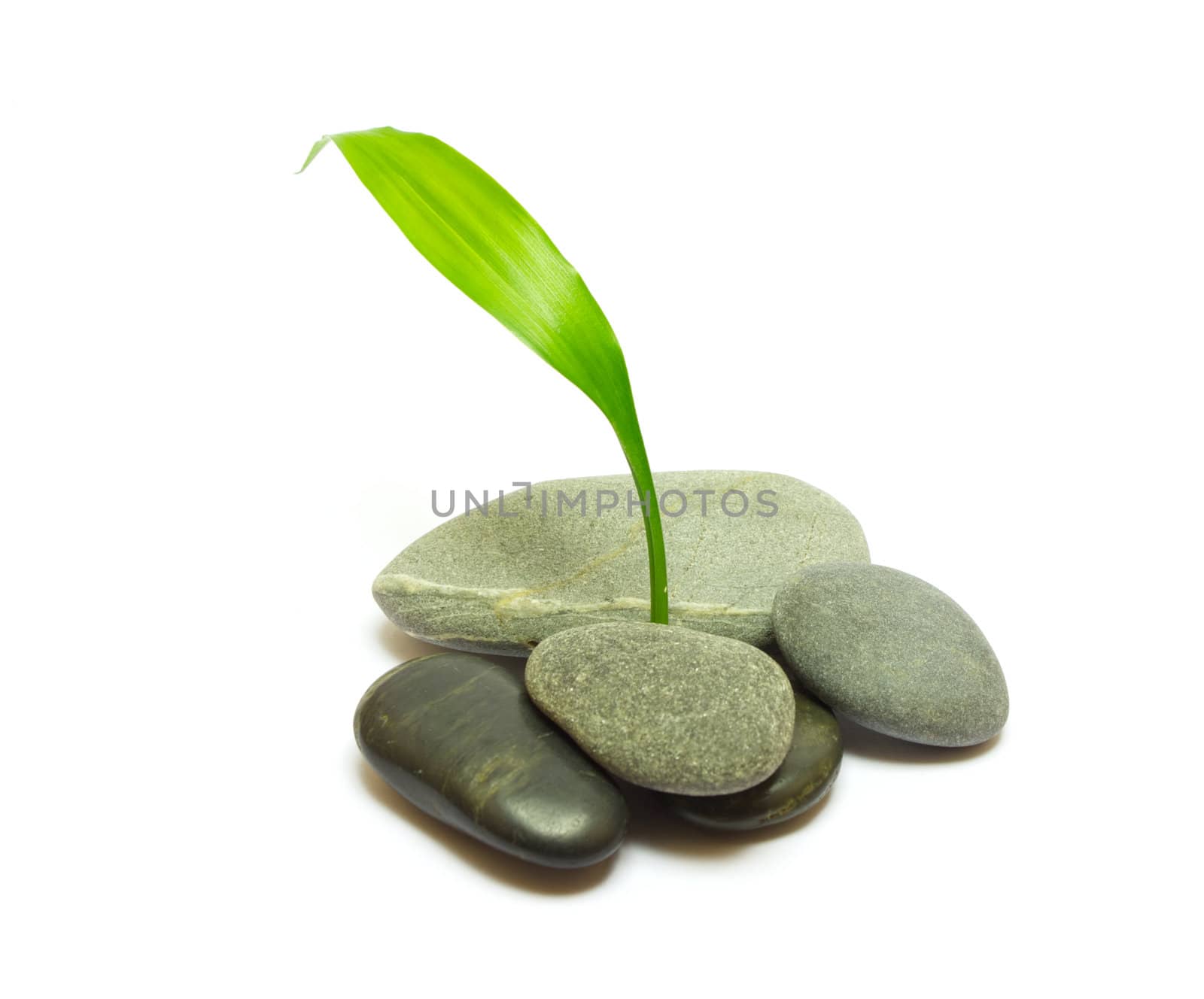 Pile of stones and bamboo leafs isolated on white