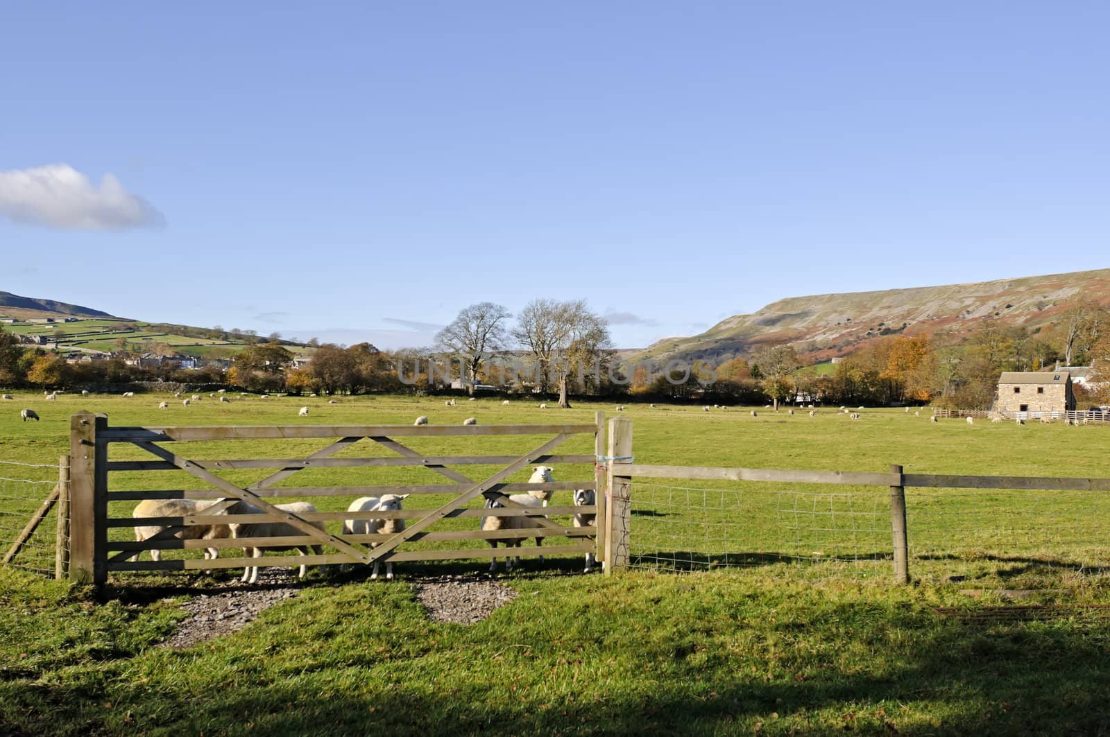 Farmalnd in Swaledale valley Yorkshire Dales England 
