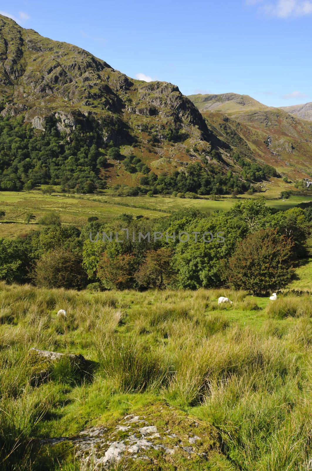 View of Gallt y Wenallt in Snowdonia National Park Gwynedd North Wales