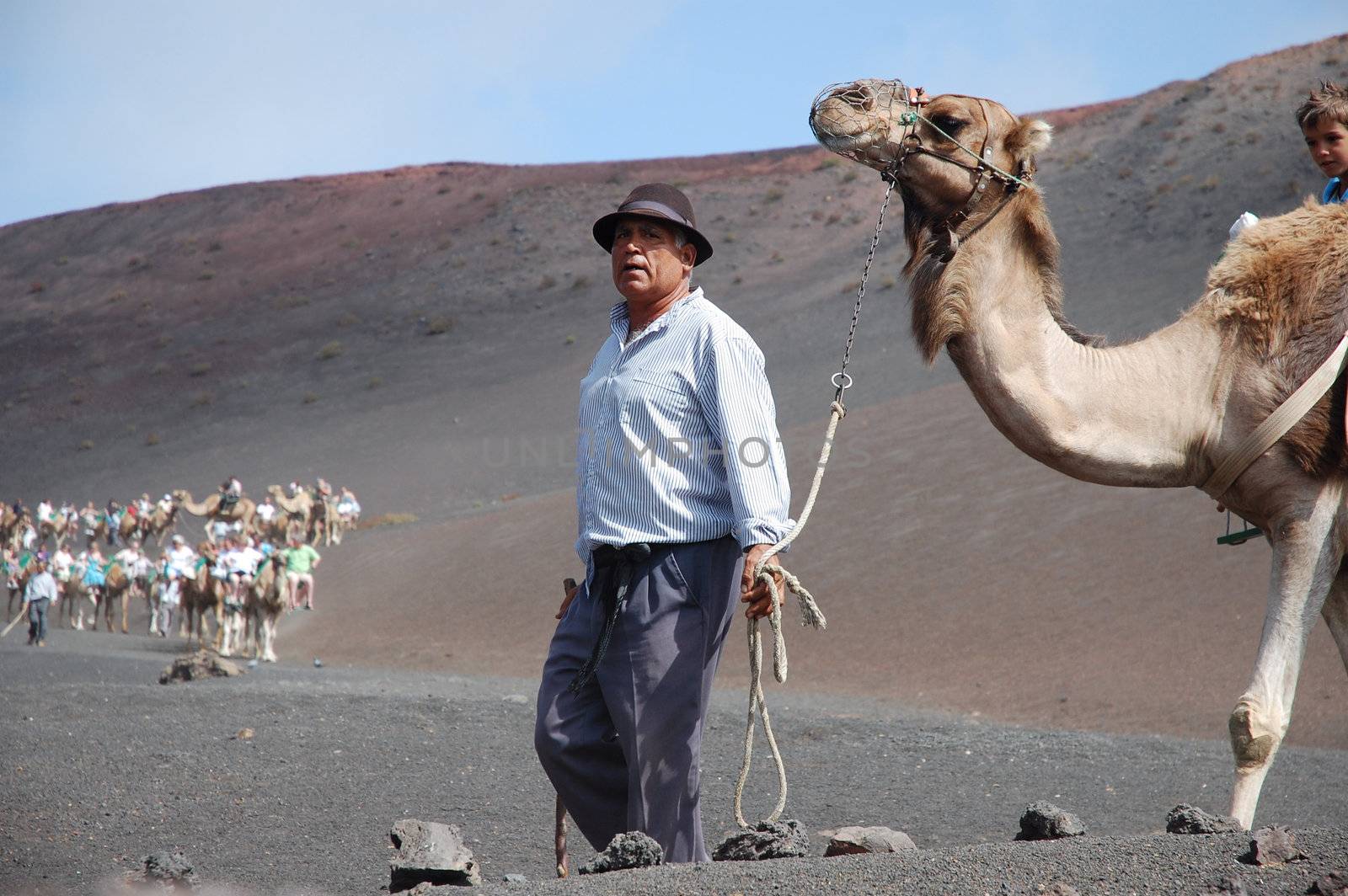 TIMANFAYA NATIONAL PARK, LANZAROTE, SPAIN - JUNE 10: Tourists riding on camels being guided by local people through the famous Timanfaya National Park in June 10, 2009