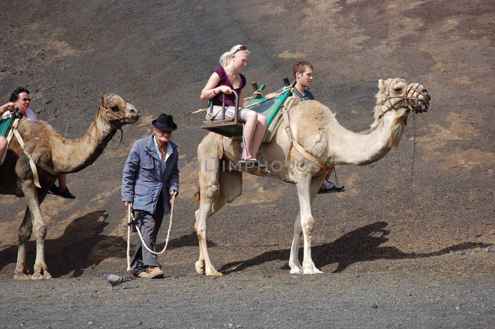 TIMANFAYA NATIONAL PARK, LANZAROTE, SPAIN - JUNE 10: Tourists riding on camels being guided by local people through the famous Timanfaya National Park in June 10, 2009