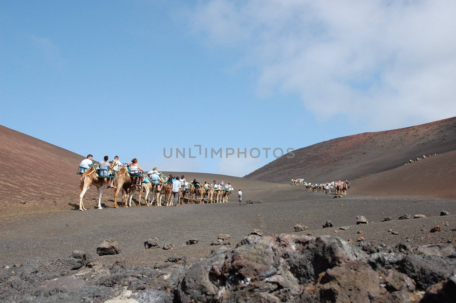 TIMANFAYA NATIONAL PARK, LANZAROTE, SPAIN - JUNE 10: Tourists riding on camels being guided by local people through the famous Timanfaya National Park in June 10, 2009