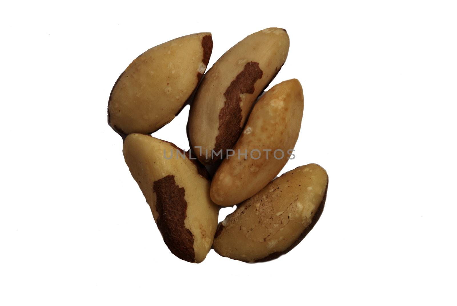 Brazil Nuts on white background