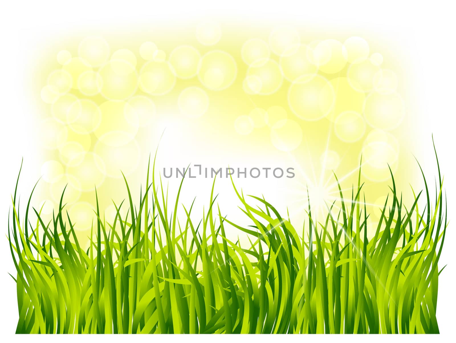 spring green grass on a background of solar flare