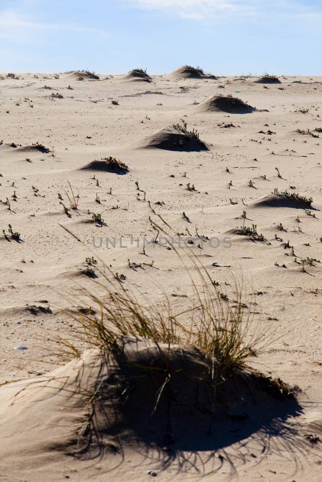 View of little natural formed hills by the wind on the beach.