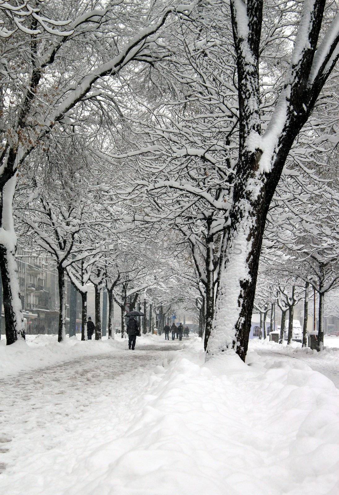 Walkers in Plainpalais place by winter, Geneva, Switzerland by Elenaphotos21
