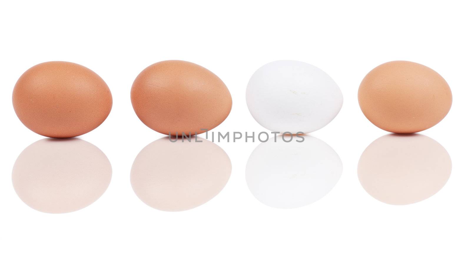 Macro view of four eggs isolated on the white