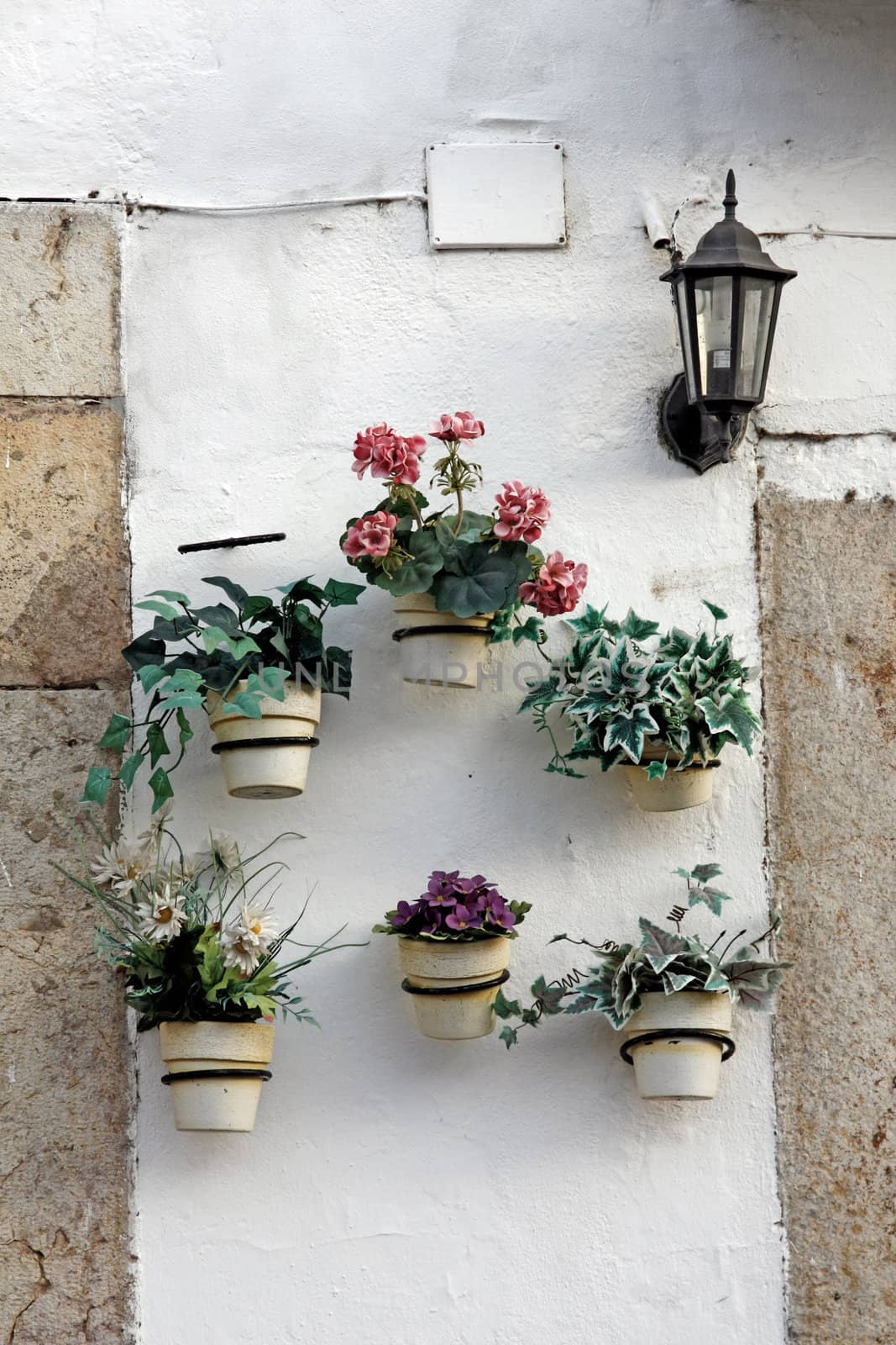 Several flower pots aligned on a wall.