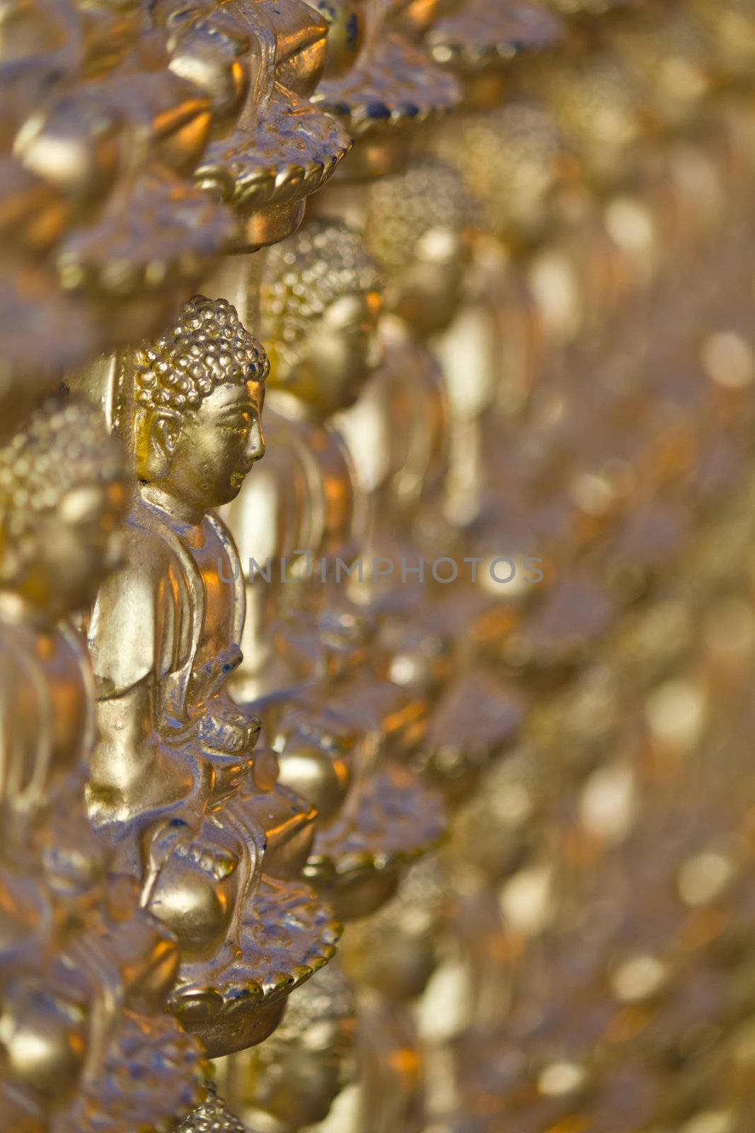 many image of buddha on wall in chinese temple Thailand