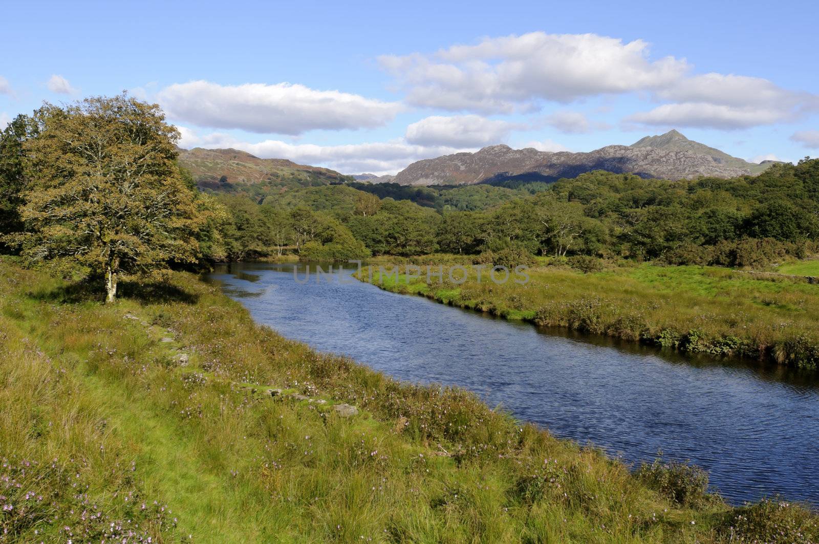 View of Moel y Dyniewyd in Snowdonia National Park Gwynedd North Wales