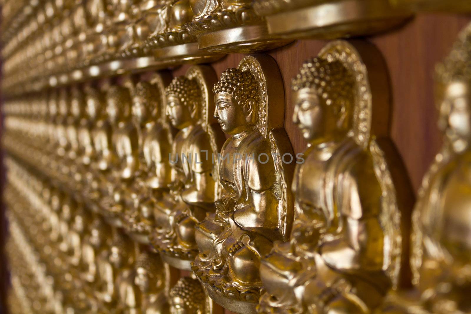 many image of buddha on wall by lavoview