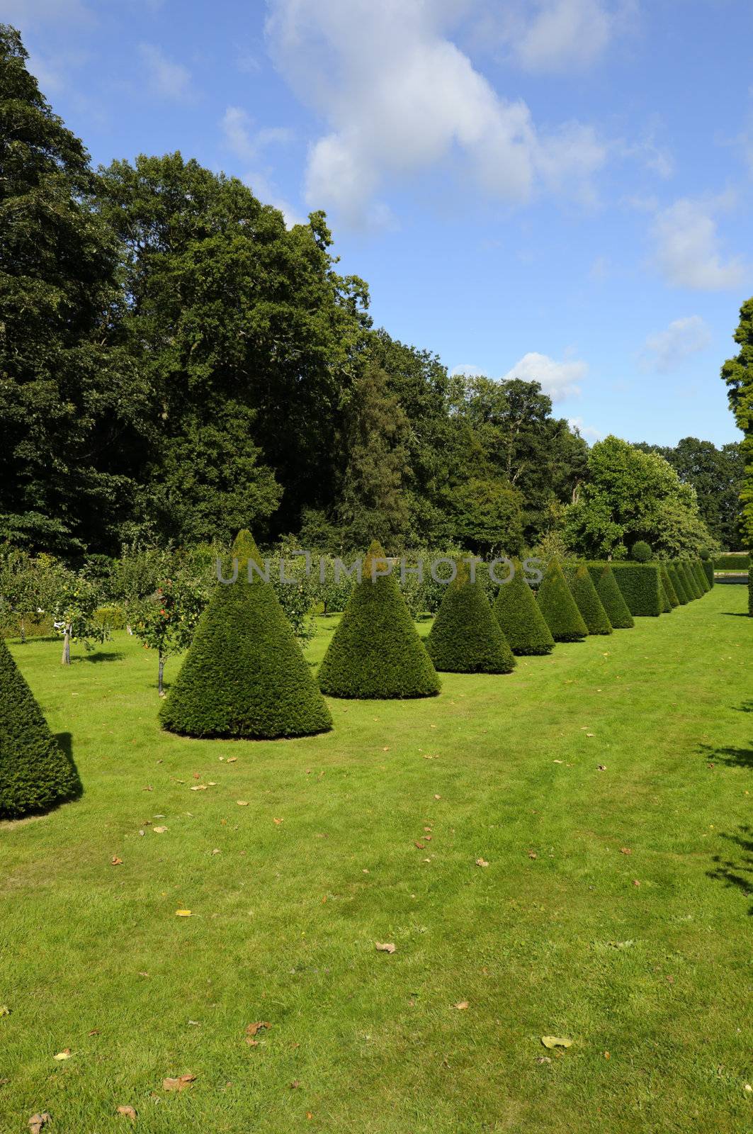 Formal gardens at Erddig Hall in Wrexham Wales UK