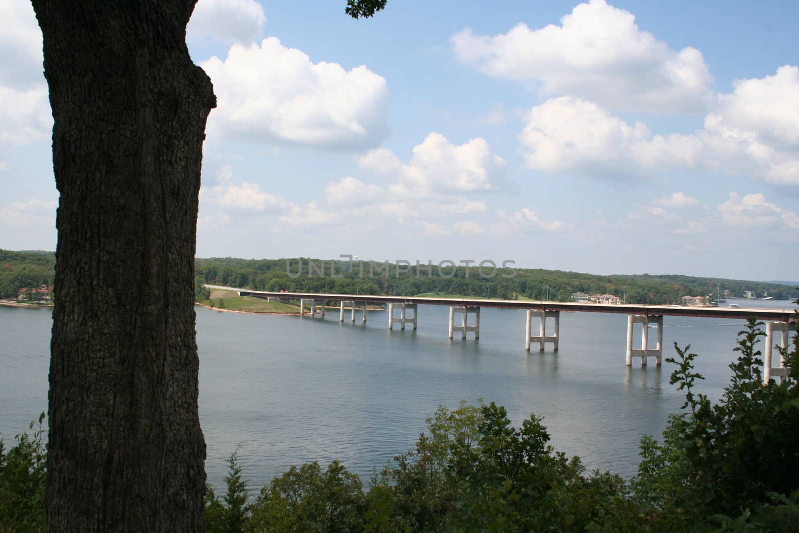 Bridge over lake framed by tree trunk and blue sky with white clouds