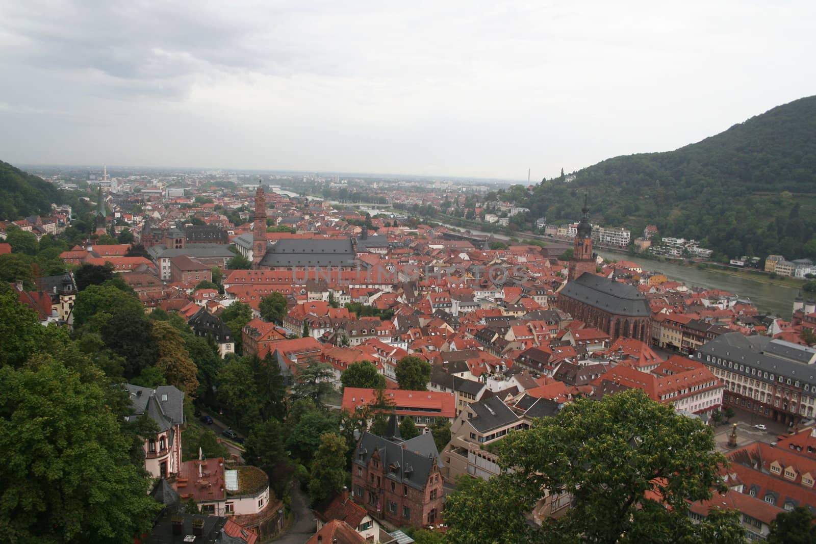 Red Heidelburg rooftops along the Rhine River as seen from Heidelburg castle