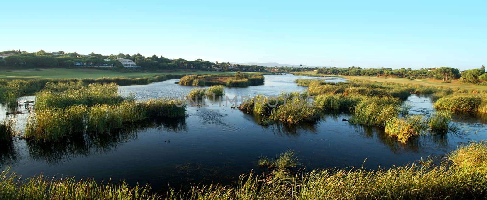 View of the natural marshlands on the Algarve, Portugal.