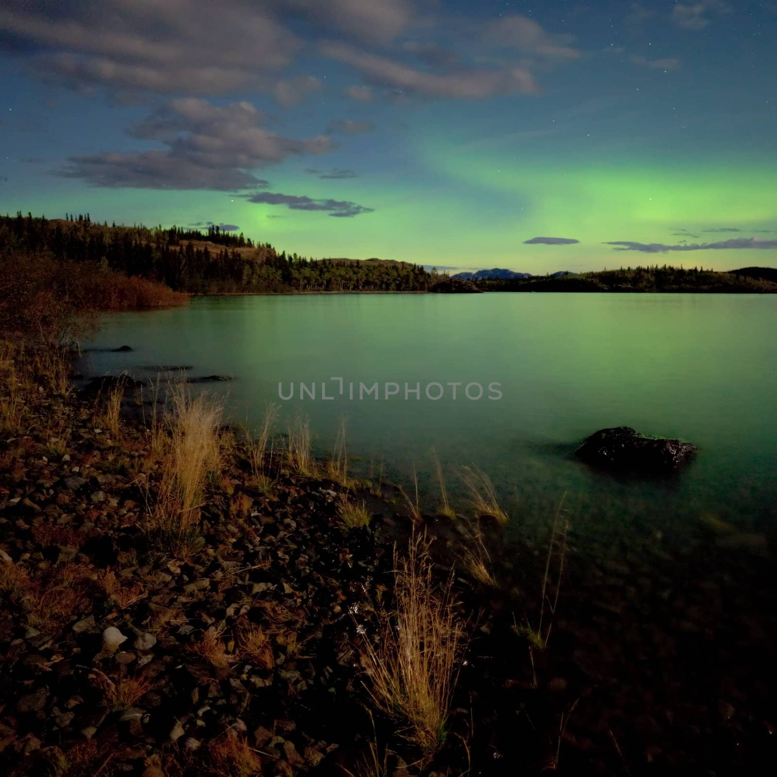 Aurora borealis (Northern lights) display by PiLens