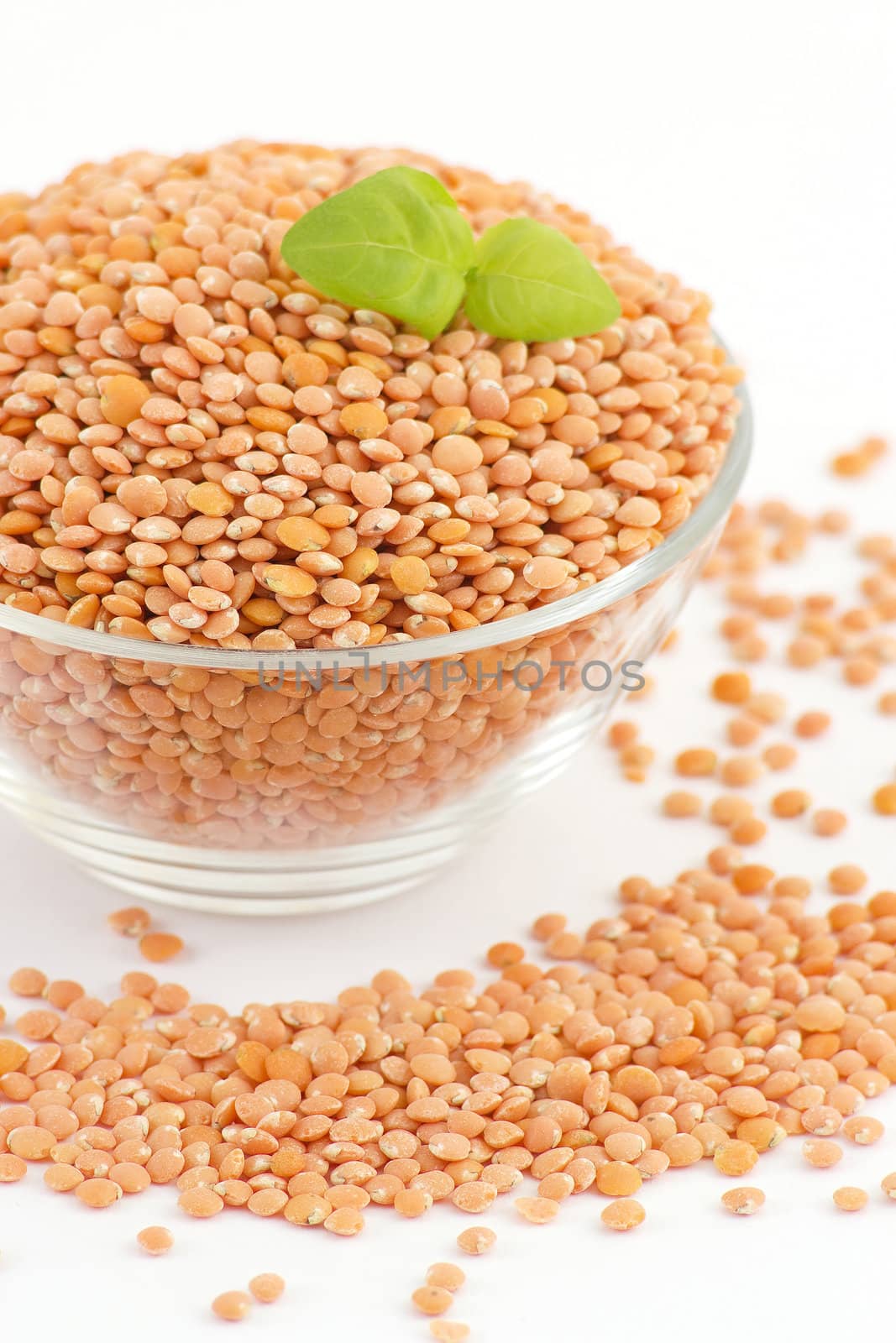 Bowl of red lentils isolated on white background 