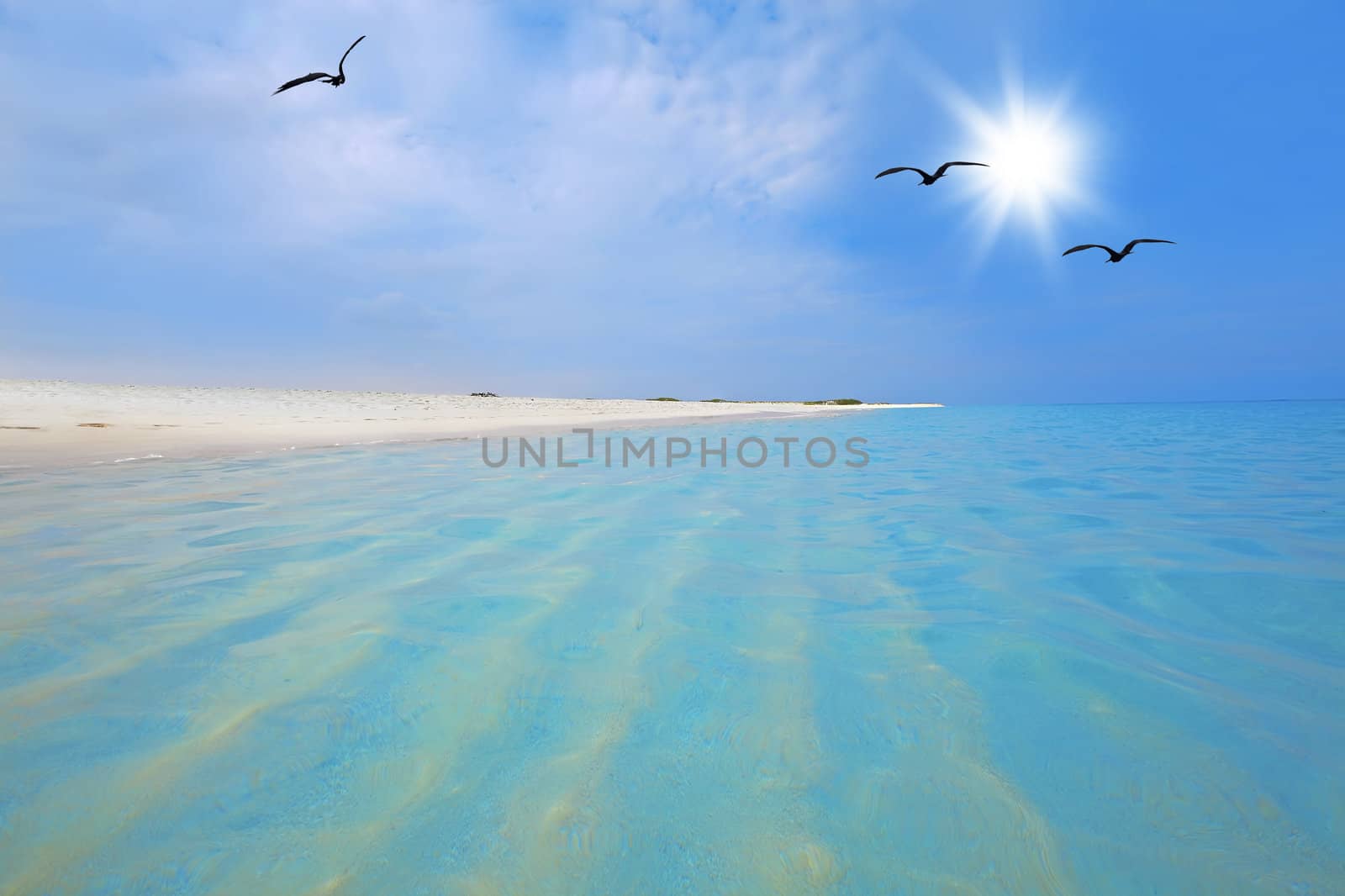Turquoise water and white sand at Boca Grandi beach, Aruba