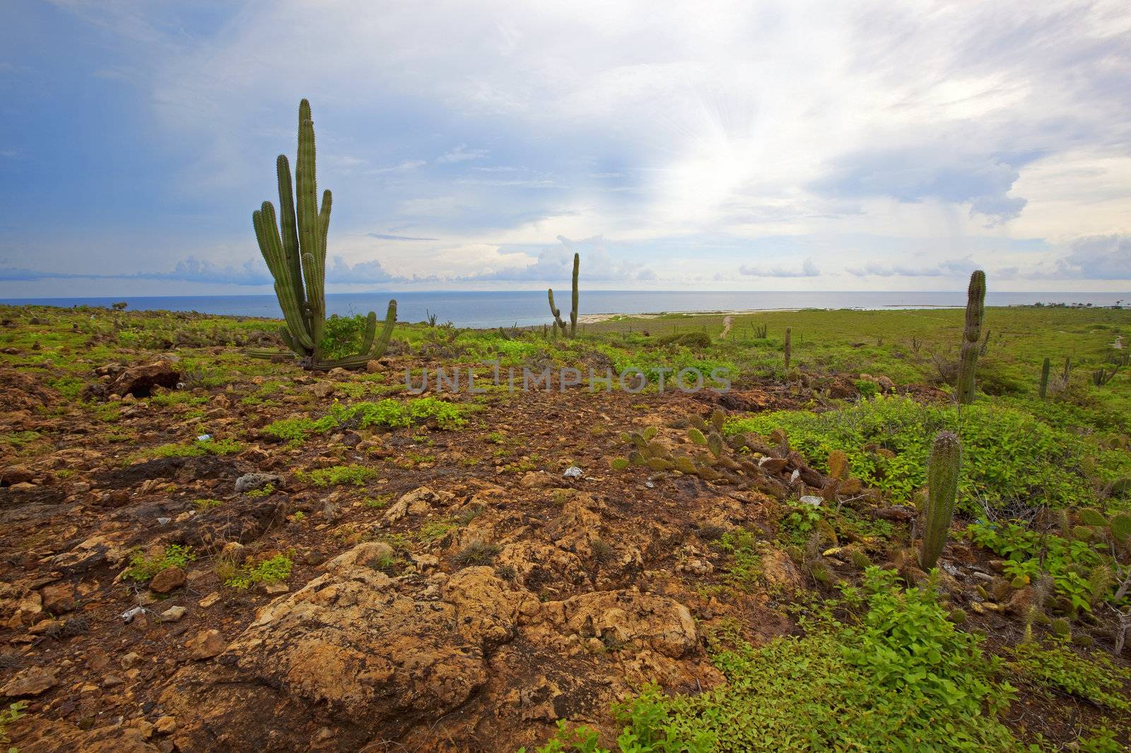 Aruba landscape by kjorgen