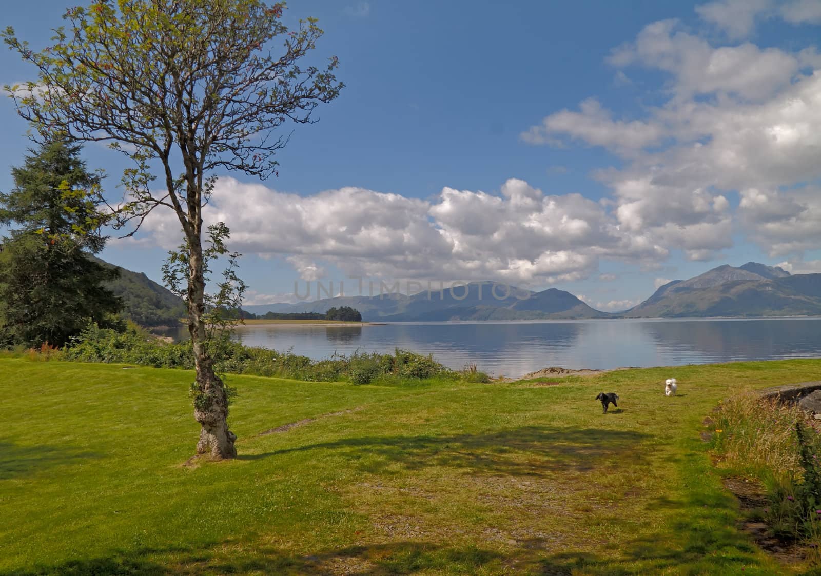 The quiet beauty of Scottish scenery on the banks of Loch Linnhe in Argyll and Bute.