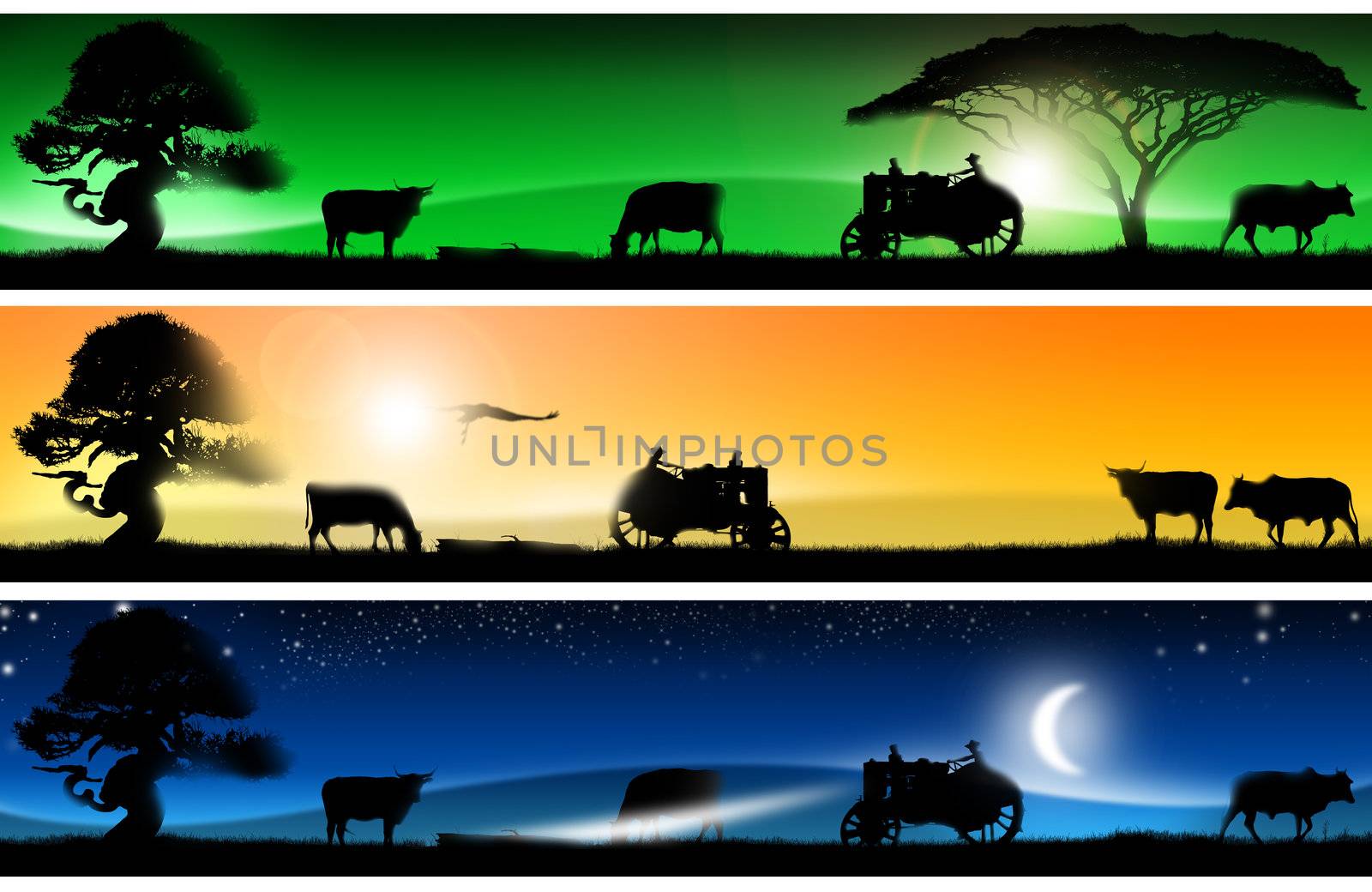 Three banners of imagination with colorful landscapes of country life, with grass, trees, cows, tractor and bird