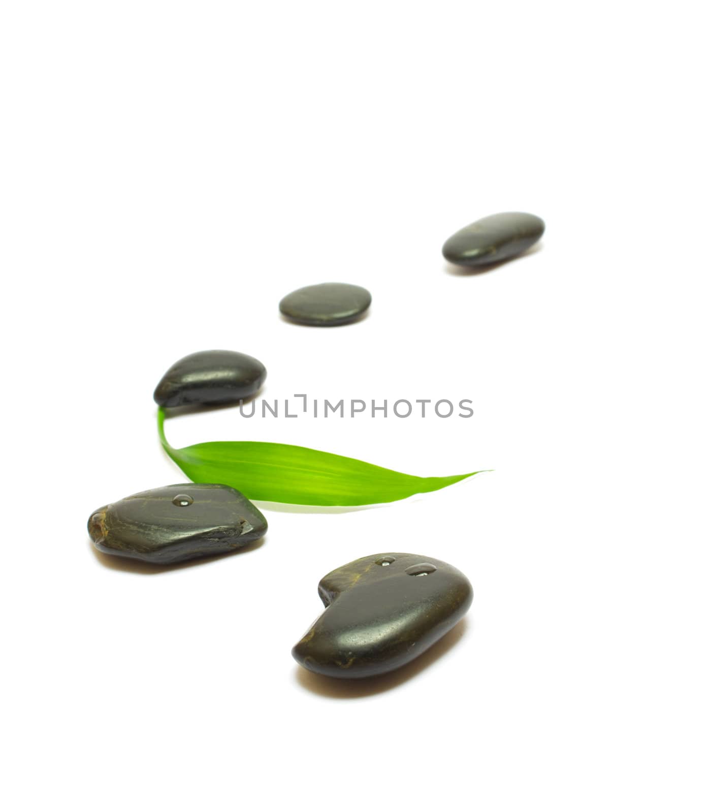 Black stones and bamboo leaf isolated on white