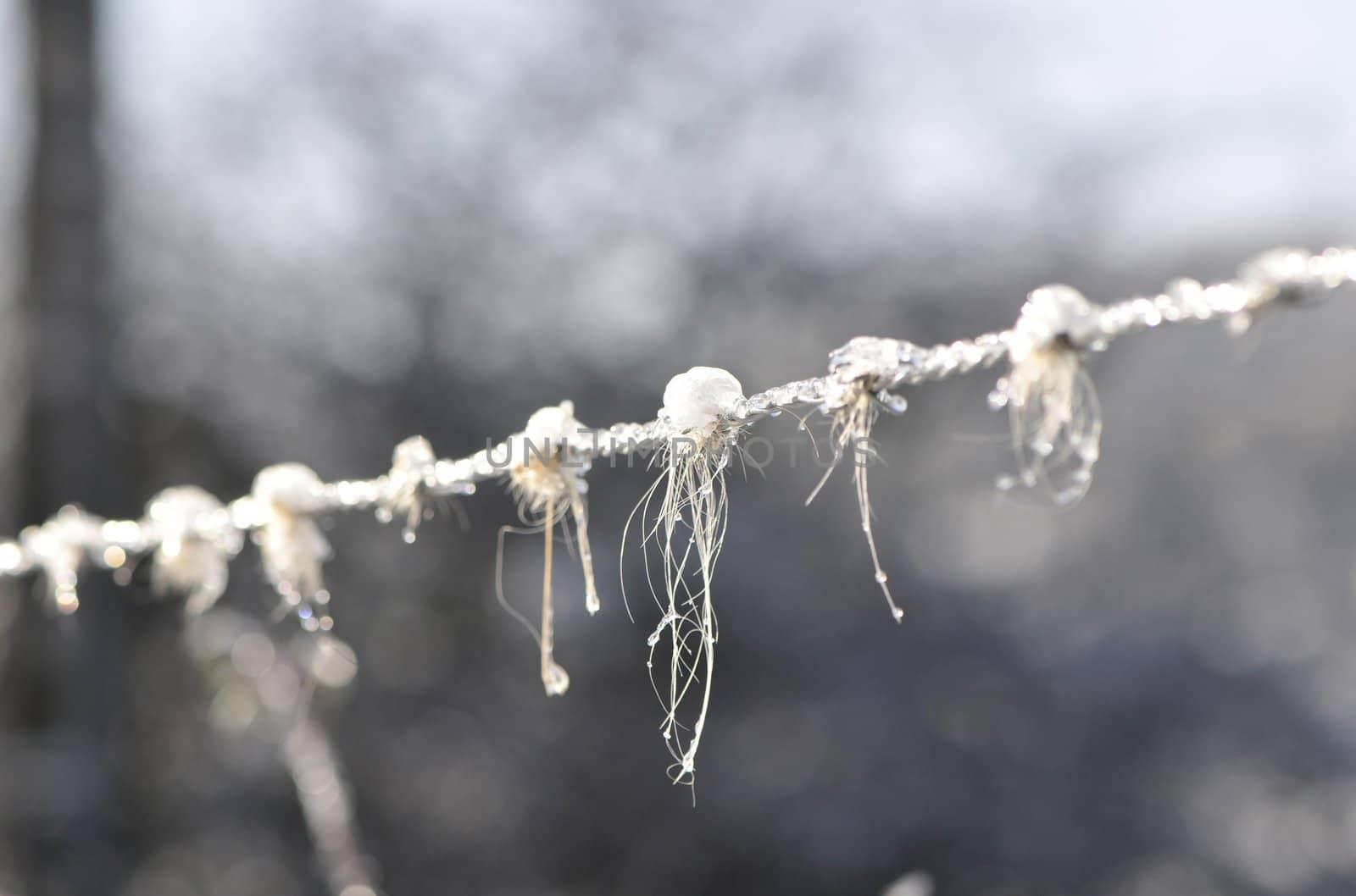 Ice on barbed wire with piece of coat on a blurred background